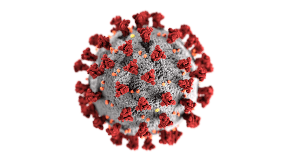 Bevisat effektiv mot nya coronaviruset 